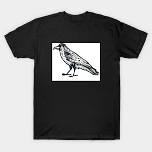 Crow T-Shirt